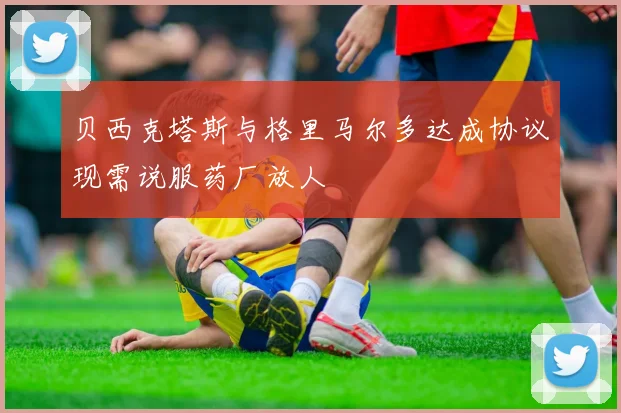 贝西克塔斯与格里马尔多达成协议现需说服药厂放人