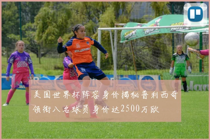 美国世界杯阵容身价揭秘普利西奇领衔八名球员身价达2500万欧